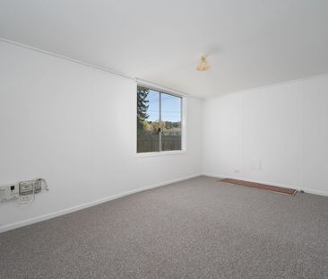 114 Erskine Street, Armidale, NSW 2350 - Photo 3