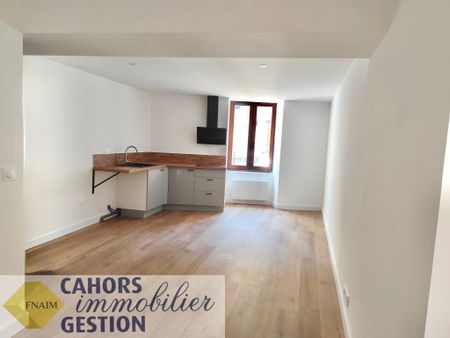 Location Appartement 1 pièce 24m² CAHORS 46000 - Photo 3