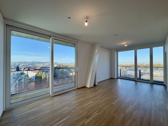 TOP-Ausblick: City mit Stephansdom, Donaukanal, Prater. Concierge, Party & BBQ Lounge, Pool usw. - Photo 1