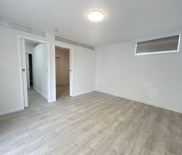 8A Shane Street Colyton - Photo 3