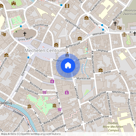 Désiré Boucherystraat, 10 / 301, 2800, Mechelen