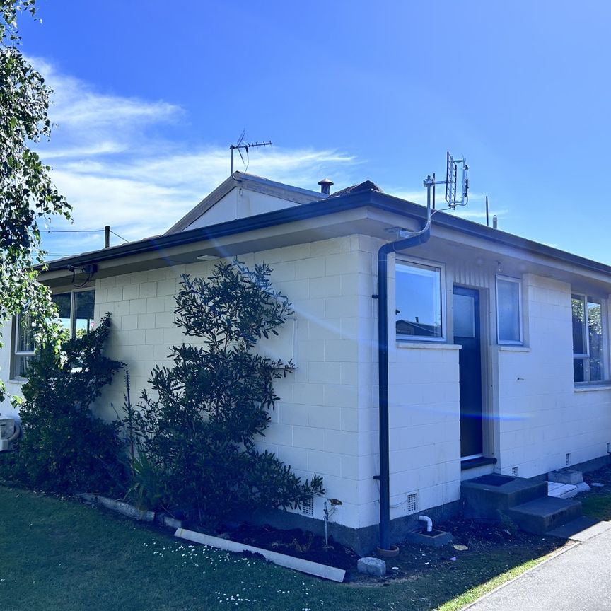 Fully Renovated sunny two bedroom unit - Photo 1