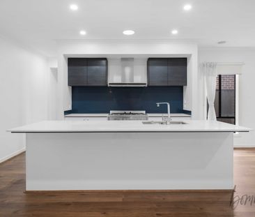 Spacious Family Living - 4 Bedroom Home with Alfresco Entertaining - Photo 6