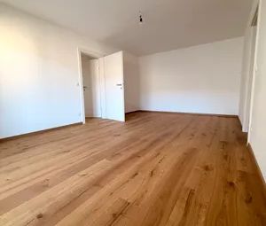 Liebevoll generalsaniert und lichtdurchflutet - Foto 3
