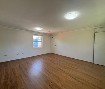 8/150 Wells Street, Newtown NSW 2042 - Studio For Rent | Domain - Photo 2