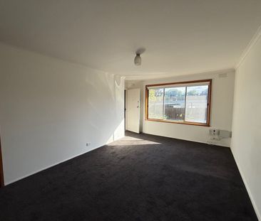 A Compact Little Gem - Photo 4