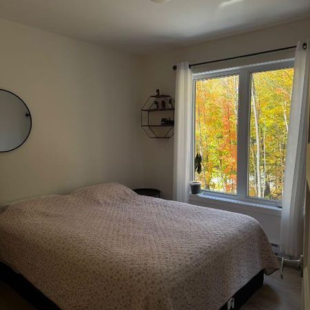 Grand 4 1/2 à l'étage - Photo 3