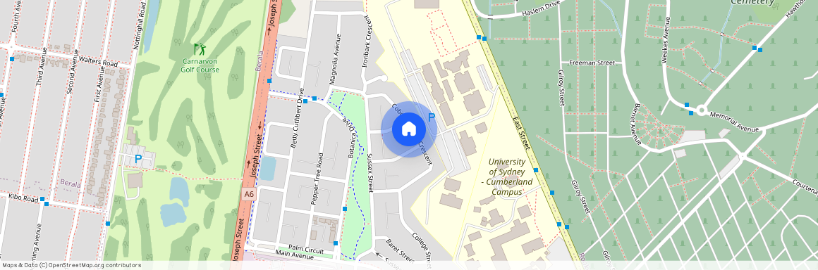 21 Cobden Parkes Crescent "Botanica", NSW 2141, Lidcombe