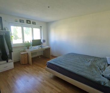 Large room aviable in light spacious and quite apartment - Photo 2