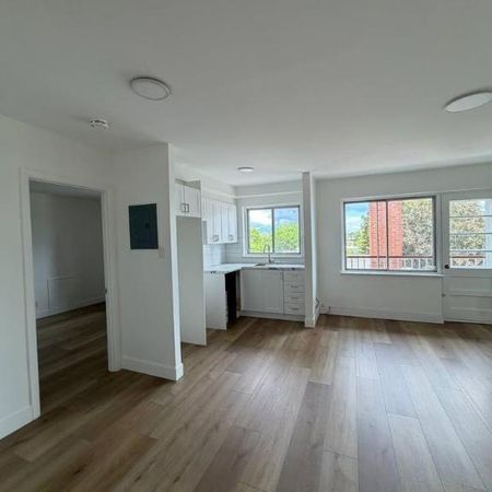 1 CH - 1 SDB - Montréal - $1,250 /mo - Photo 3