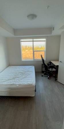 U8 2 bed 2 bath apartment for rent - Photo 1