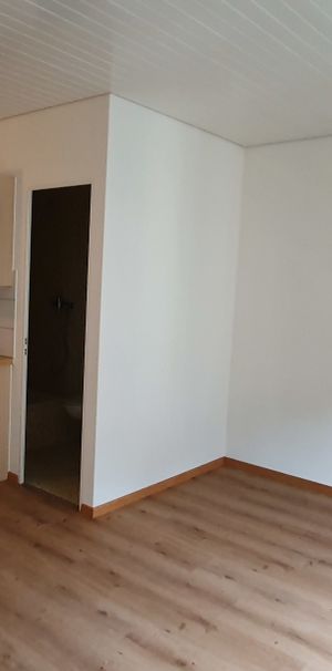 Der Immobilientipp im Zentrum von Luzern! - Foto 1