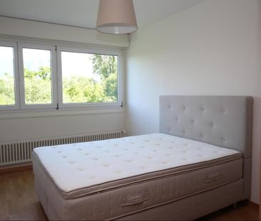 3-room apartment - Photo 2