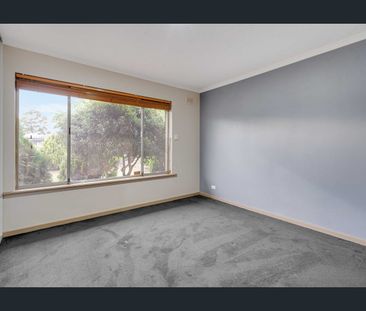 Hi, I'm Cute and Cosy... - Photo 6