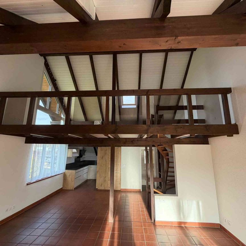 4.5 Zimmer, 135 m², 1. Stock - Foto 1