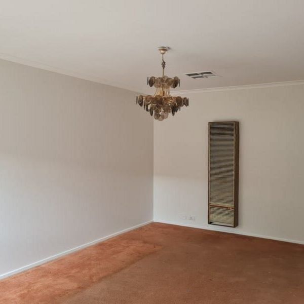 The Perfect Starter - Photo 1