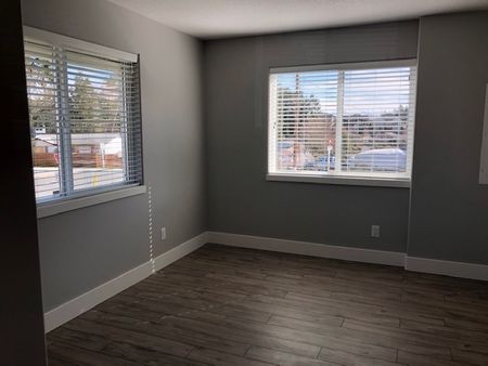 Beautiful Executive 4 Bedroom Home – Ladysmith TENANT PENDING - Photo 5