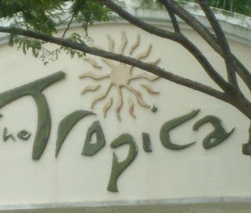 The Tropica (D18), Condominium - For Rent - Photo 6