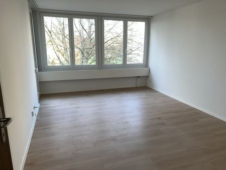 Neu sanierte 2 Zimmerwohnung - Photo 4