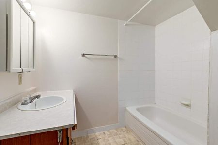 Renovated Suite - 1 Bedroom - Photo 4