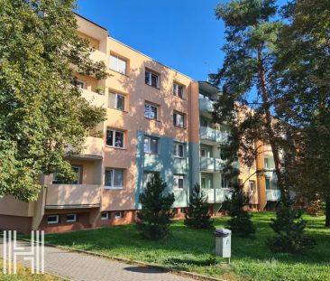 Pronájem zrekonstruovaného bytu 2+1 s lodžií - Fotografie 5