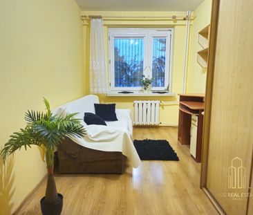 Nowe Miasto *wysoki parter* 3 osobne pokoje*Cegła* - Фото 4
