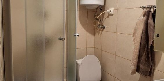 Garsonieră de inchiriat in zona Văcărești - Fotografie 3