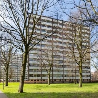 Roggekamp 0ong, 2592 Den Haag, Nederland - Foto 4