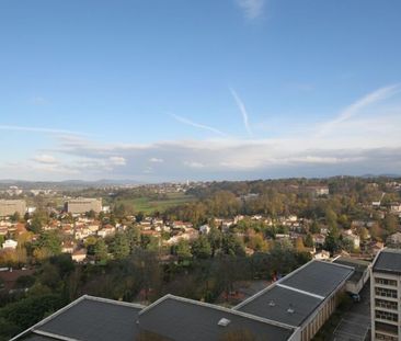 Appartement à louer 3 pièces • 69,28 m2 Oullins - Photo 6