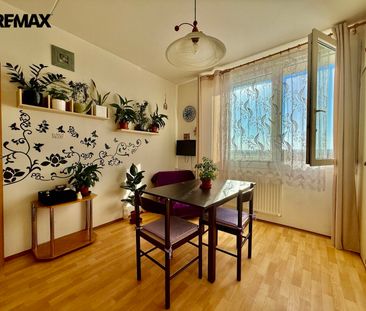Pronájem bytu 1+1 v osobním vlastnictví 40 m², Plzeň - Photo 1