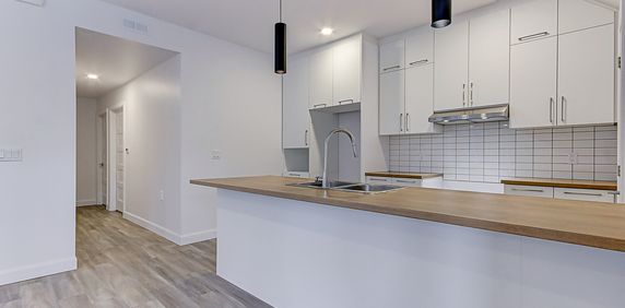 Grand 4 1/2 Au Rez-de-jardin - Photo 2