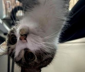 Pokój, ul. Jackowskiego - Photo 1