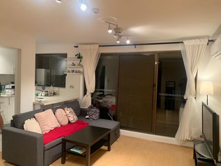 Pyrmont - Photo 4