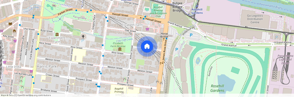 29 Hope Street, NSW 2142, Rosehill