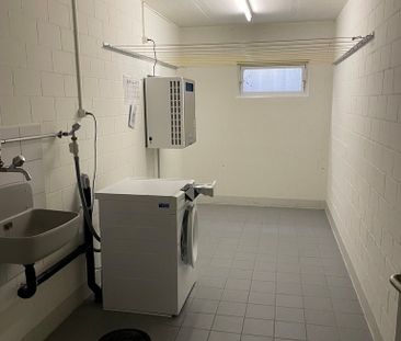 3 ½ Zimmer-Attikawohnung in Spreitenbach mieten - Foto 3