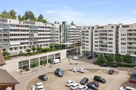 MAGNIFIQUE 4.5 PIECES DANS LE QUARTIER DE BEAUREGARD - Photo 4