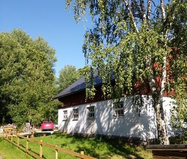 Hallkved långlöt, Uppsala - Photo 6