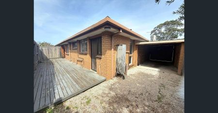 HOW BIG’S YOUR COURTYARD? - Photo 4