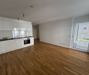 Helle 2 Zimmer Wohnung mit Blick ins Grüne - Photo 3