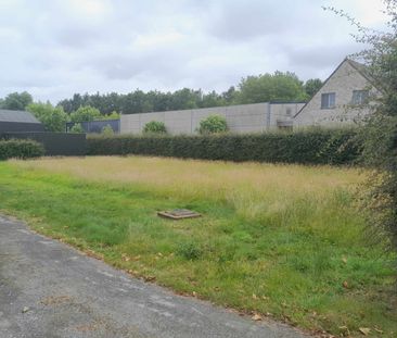 Grote Hangaar, tuin en woning wordt cohouseplek - Photo 4