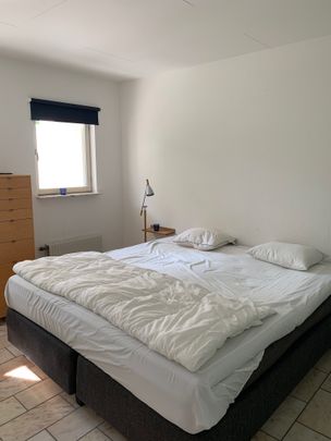 Lüneburgska vägen, Falsterbo - Foto 1