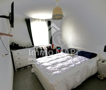 Location Appartement 2 pièces 38m² LATTES 34970 - Photo 2