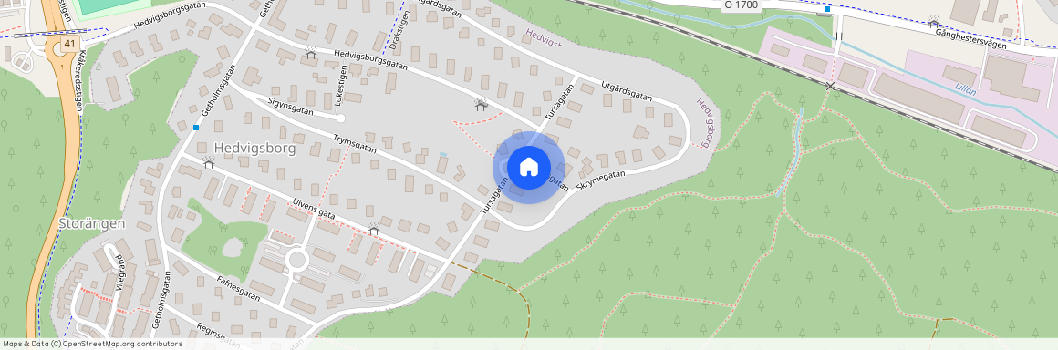 Tursagatan 38, Borås