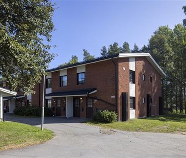 Brännsvedjevägen, Kåge - Foto 4