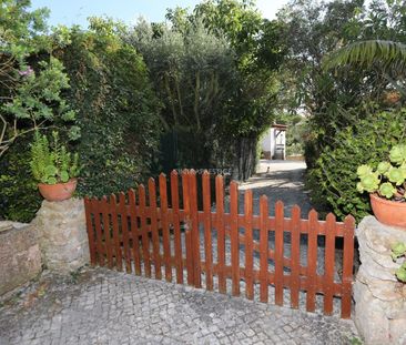 Moradia T1 em Lisboa - Photo 3