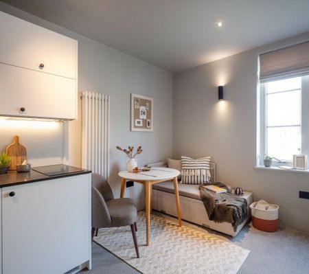 Studio Flat, Augustus Road, SW19 - Photo 4