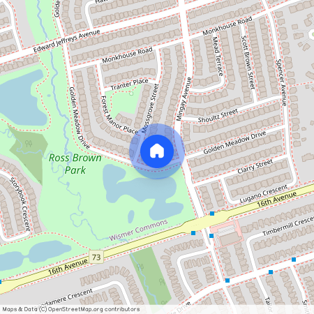 45 Golden Meadow Drive, Markham