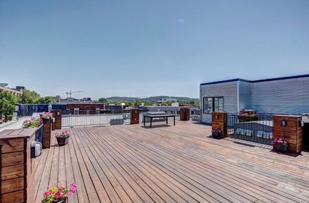 7408 Rue Durocher - Photo 3