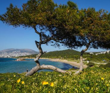 Μεζονέτα για ενοικίαση Καβούρι (Βουλιαγμένη) - Photo 6
