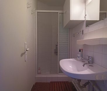 Location Appartement 3 pièces 48m² LE BARCARES 66420 - Photo 6
